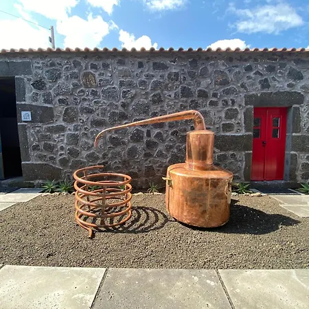 Adega Do Fogo Villa