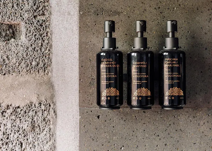 Adega Do Fogo Villa *